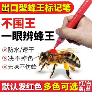 不掉色进口型蜂王标记笔蜜蜂王，记号笔不伤蜂防水速干养蜂工具