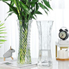 玻璃花瓶透明水养富贵竹，百合花瓶摆件客厅插花干花北欧家用特大号