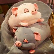 小猪毛绒玩具猪猪抱枕，公仔布娃娃玩偶，枕头女生日礼物床上睡觉