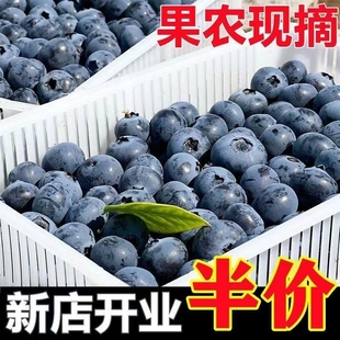 云南蓝莓新鲜水果当季整箱蓝梅鲜果现摘高山，怡颗孕妇70g单盒