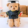 正版博士小熊泰迪熊毛绒玩具抱抱熊，布娃娃小熊公仔，毕业熊礼物(熊礼物)