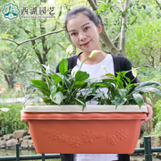 满额爱丽思阳台种菜盆塑料花盆长方形大蔬菜花槽树脂花箱