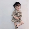 女童夏季套装2023韩版薄款短袖短裤宝宝时尚豹纹T恤两件套潮