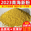 2023新鲜青海油菜花粉纯正天然食用未破壁蜜蜂花粉前列腺500g