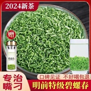 2024年新茶特级碧螺春茶叶绿茶明前春茶嫩芽自己喝