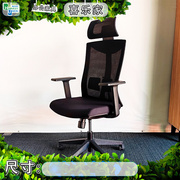 百利办公椅人体工学椅电脑椅升降椅，头枕椅会议椅，职员椅网背椅子