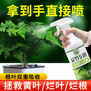 免稀释文竹专用营养液肥料家用盆栽植物液体肥室内养花绿植通用型
