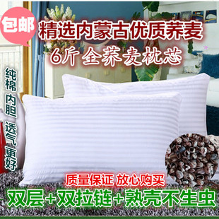 全荞麦枕 纯荞麦皮枕头  荞麦壳枕头芯 儿童枕头保健枕芯