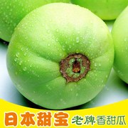 日本甜宝甜瓜种籽特大白种籽春季四季种孑水果种子超甜香瓜籽