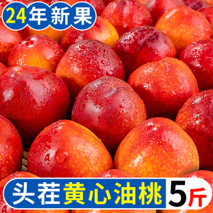黄心油桃5斤应季大桃子新鲜水果当季水密桃，整箱孕妇蜜脆桃10