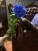 家居装饰仿真花假花绢花单枝，手感蓝色玫瑰，蓝色妖姬客厅别墅样板间