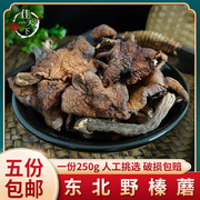 东北黑龙江土特产榛蘑250g农家，小鸡炖蘑菇，干榛菇榛蘑新鲜多省