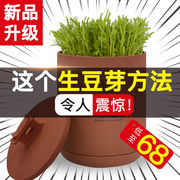 甘泉村生豆芽机家用全自动紫砂豆芽罐桶豆芽，发芽神器豆芽菜机