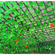 仿真葡萄叶爬山虎植物藤条，绿萝藤蔓装饰管道，吊顶绿叶管道塑料假花