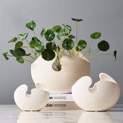 白色陶瓷花瓶蛋壳素烧陶瓷花盆摆件创意家居装饰艺术摆件