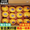 四川安岳黄柠檬(黄柠檬)新鲜水果奶茶店专用皮薄多汁一级独立包装青柠泡水