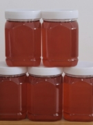 枸杞蜂蜜农家自产天然蜂蜜500克