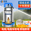 臣源直流潜水泵48v60v家用电动车农用小型12v24v电瓶，抽水泵高扬程(高扬程)