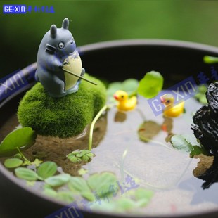 海藻球marimo微景观生态瓶龙猫，摆件苔藓盆景，迷你植物创意盆栽球藻