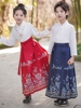 六一儿童演出服国学服男童汉服中国风古装女童唐装三字经表演服装