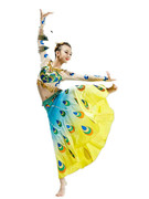 高档成人傣族舞蹈服装鱼尾裙孔雀裙子演出服女少数民族舞台表