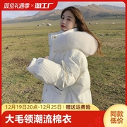 大毛领连帽羽绒棉服女冬季时尚，短款小个子面包服米白加厚(白加厚)棉衣外套