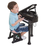 WinFun 儿童乐器初学者多功能小钢琴话筒37键音乐电子琴带麦克风