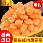 越南红肉菠萝蜜新鲜水果，当季一整个红肉波罗菠萝蜜整箱特产