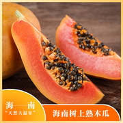 海南树上熟木瓜 4-4.5斤 香甜润红，肉厚多汁坏果包赔