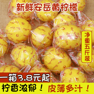 四川安岳黄柠檬(黄柠檬)5斤新鲜水果，皮薄一级香水鲜甜柠檬青特产