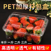 加厚一次性透明水果打包盒一斤装草莓盒塑料盒500克保鲜盒樱桃盒