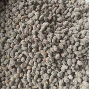 沂蒙土特产干豆豉 农家自制风味 山东豆食 臭豆鼓鲮鱼调料500g