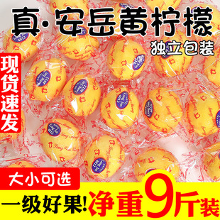 四川安岳黄柠檬(黄柠檬)新鲜水果当季一级5斤皮薄，整箱甜青香柠檬
