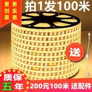 100米整卷led双排灯带超亮灯条客厅吊顶，线灯装饰照明户外防水光带