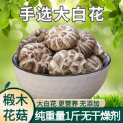 西峡椴木花菇干货500g特级香菇冬菇大白花野生茶花菇大花菇农产品