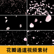 樱花桃花花瓣飞舞飘落特效动画花朵散开pr合成动态ae视频素材D214