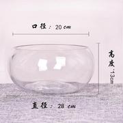 水培玻璃花瓶透明碗莲荷花铜钱，草盆缸养睡莲，的专用花盆鱼缸植物器