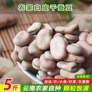 云南农家新货干蚕豆 干货五谷杂粮生白皮蚕豆罗汉豆胡豆豆瓣 5斤
