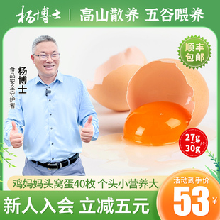杨博士(杨博士)鸡蛋，新鲜现捡现发初生蛋正宗高山，散养土鸡蛋草鸡蛋40枚