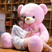 可爱毛绒玩具大熊猫公仔抱抱熊粉色娃娃1.6米1.8米玩偶礼物送女生