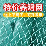 尼龙网防护网鸭网安全网塑料网隔离网养鸡网拦鸡网户外围栏网菜园