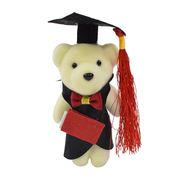 博士熊毛绒(熊毛绒)玩具，装饰小熊卡通，花束包装材料毕业礼物小熊公仔