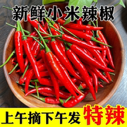 小米椒5斤红辣椒新鲜现摘特辣小米辣椒朝天椒农家土蔬菜鲜叶菜类