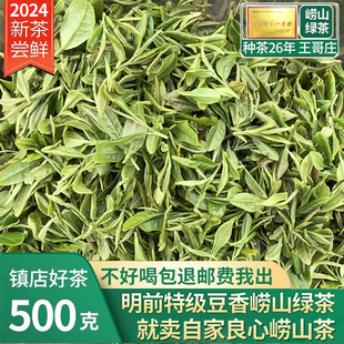 崂山绿茶2024新茶春茶明前豌豆，香500g特级散装礼盒装青岛高山绿茶