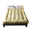 床上铺床四季适用双人床单人床海绵垫床垫子儿童床学生寝室床垫