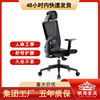 人体工学椅会议椅公司，职员网布办公椅子，透气舒适升降旋转电脑椅