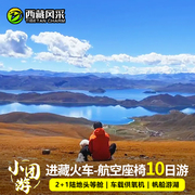 卧进飞出-16人航空座椅西藏旅游团拉萨旅游林芝羊湖纳木错10天9晚