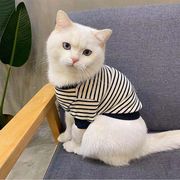 韩国春秋ins宠物狗狗猫猫衣服，秋装潮牌帅气小奶英短布偶猫咪卫衣