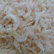 干海货虾仁虾皮小毛虾，晾晒淡干不咸虾皮，宝宝补充营养250g两件