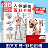 2册3D人体解剖百科手册+奇妙的人体结构图鉴 全彩解剖学图谱医学人体生理学人体解剖彩色学图谱局部解剖学人体解剖学